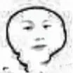顶刊生物实验难复现？统一操作话术来了！编译通过率98.6%