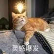 顶刊生物实验难复现？统一操作话术来了！编译通过率98.6%