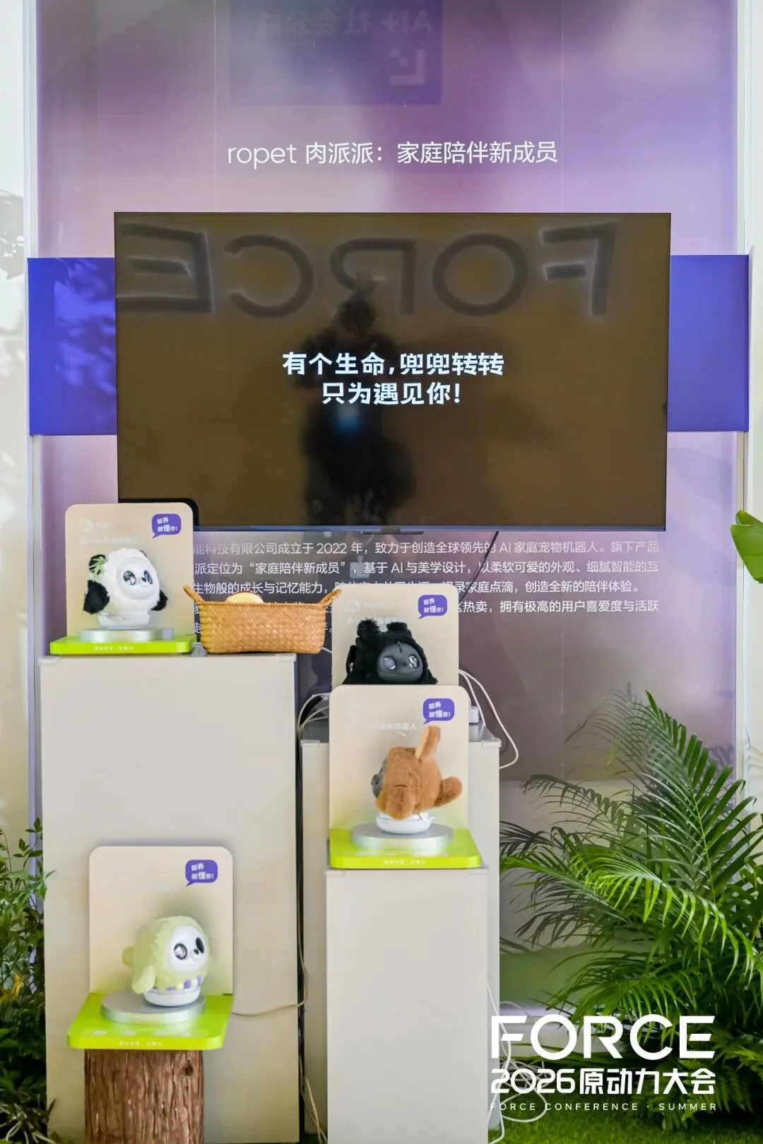 在 AI 应用普遍喊难的当下，这 15 个应用找到了不一样的活法
