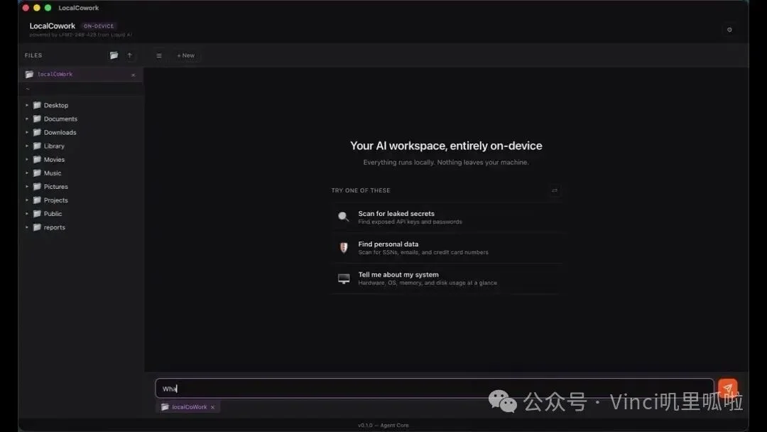 Liquid AI：端侧 AI 独角兽的美国往事