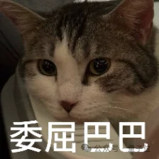 24小时直播，只靠一张照片？虎牙实时多模态数字人VAM 1.0率先突围行业三堵墙