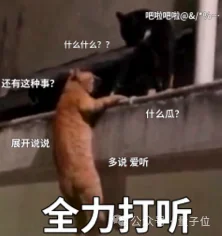连GitLab都开始裁程序员了