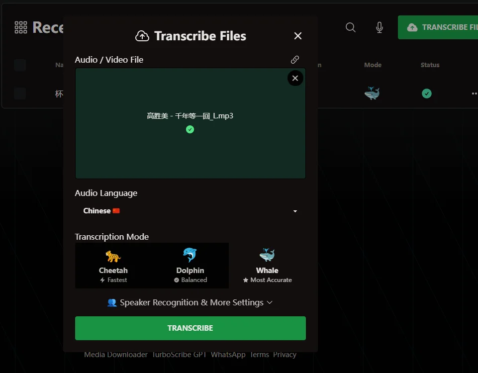 一个语音转文字的 AI 工具站，月访问量 3000 万