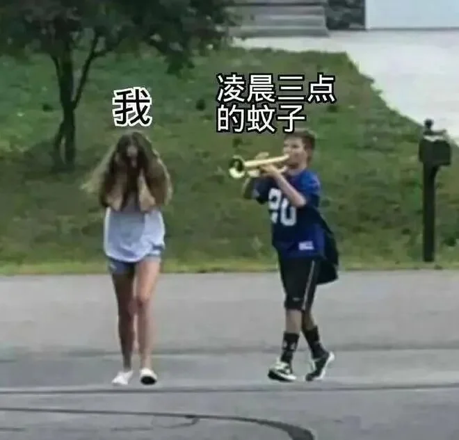 作为一个招蚊体质,这是我第一个真心支持的AI项目