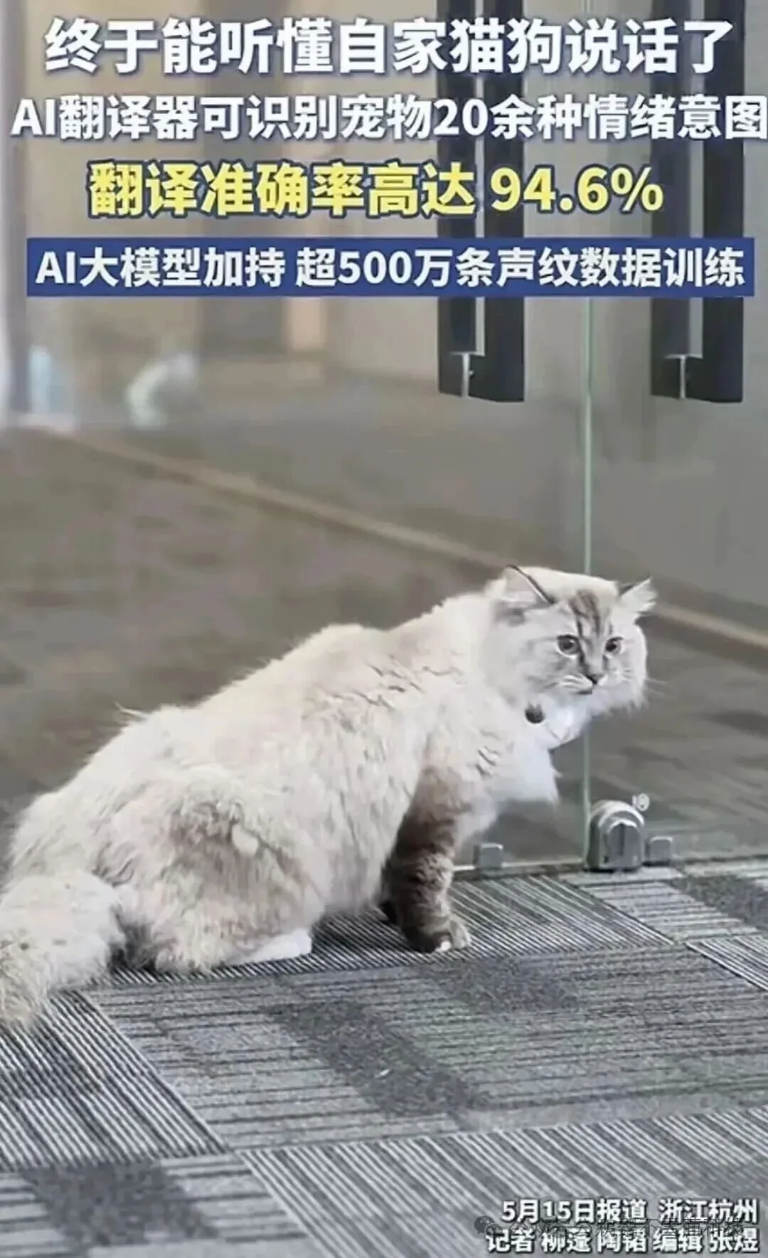 我以为宠物翻译器是纯扯淡,直到我翻了几篇论文