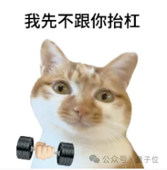DeepSeek开招土木老哥:自建GW级数据中心