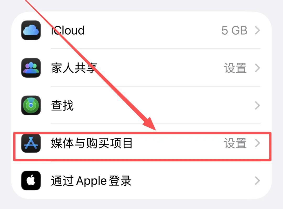 土区 Apple ID 开通 ChatGPT Plus 保姆级教程,仅 80 元/月!