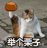 登顶HF榜首！这个Agent做PPT还是太强了