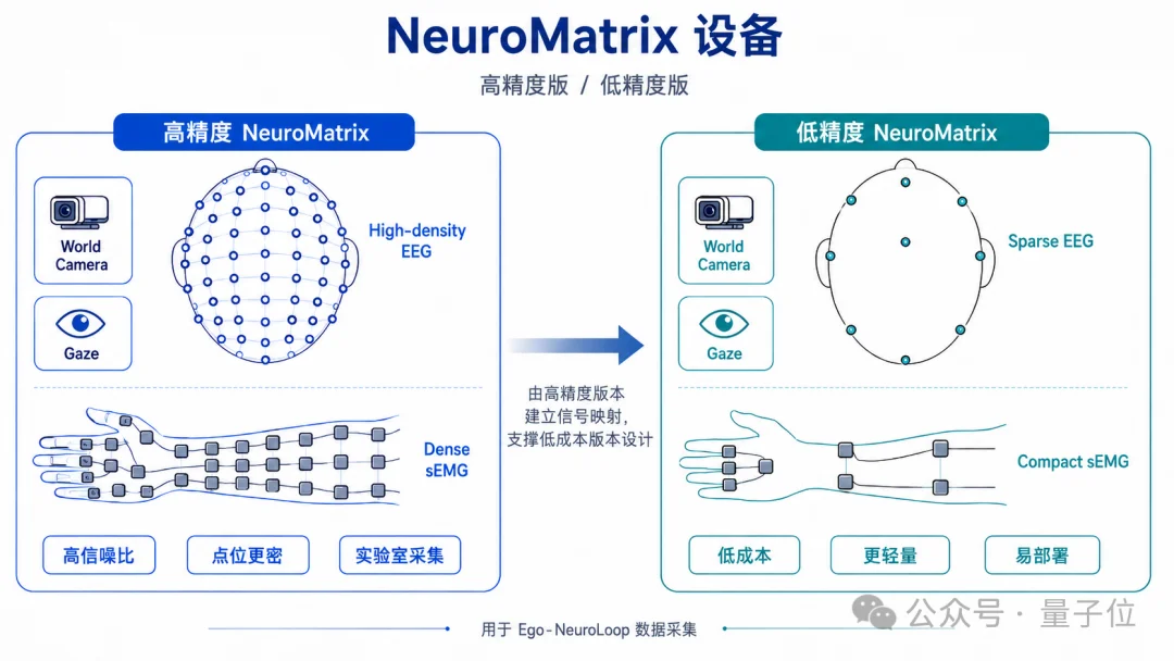 训练世界模型，开始从人类的肌肉和脑子里偷师了