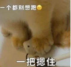 AI幻觉最可怕的人类副作用出现了