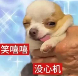 AI幻觉最可怕的人类副作用出现了