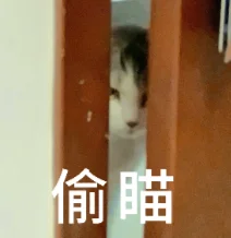 机器人为啥困在Demo？讯飞新公司爻方智能给出答案：缺一味「本体认知」