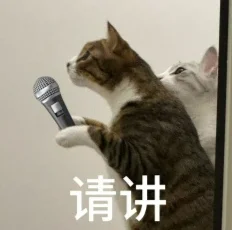 Qwen-Image-3.0效果炸裂？我反手扔了这9道题