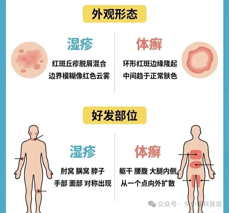 美国牧师起诉 OpenAI:称 ChatGPT 的健康建议,差点要了他的命