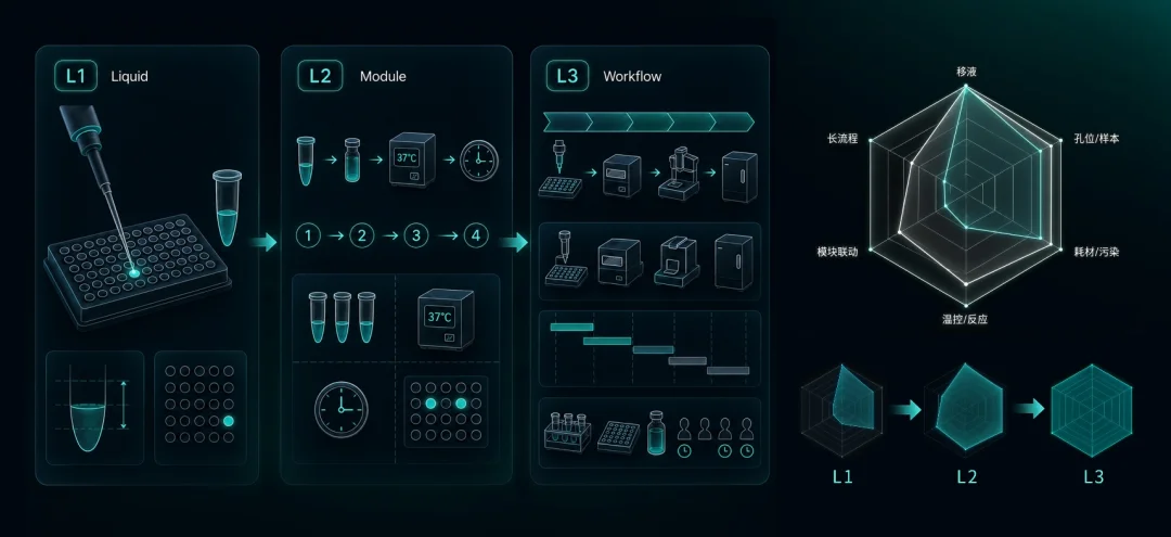 对话涌生智能杨梦：AI for Bio的下一场竞争，是把实验闭环验证真正做出来