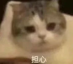 斯坦福新研究：AI尚未冲击就业，但应届生得注意了