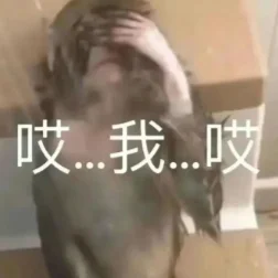 斯坦福新研究：AI尚未冲击就业，但应届生得注意了