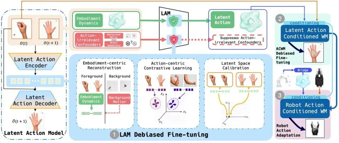 世界模型迎来因果升级：CD-LAM仅用几千步微调即可显著增强动作控制