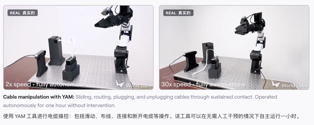 李飞飞的世界模型，终于开始训练机器人了