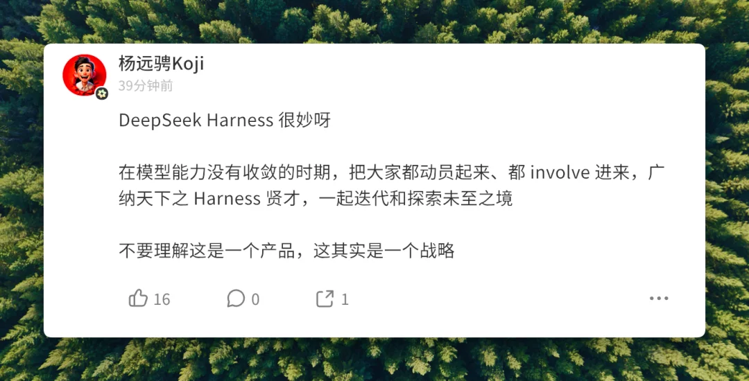 DeepSeek Harness 发布 45 小时，我们听到了 8 种不同的声音