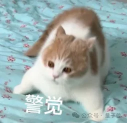 李飞飞最新访谈：AI咋能代替人呢？