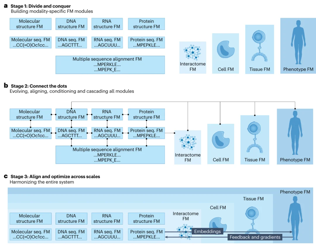 David Baker、宋乐等联手创办GenBio AI:  虚拟细胞只是开始，数字有机体才是终局