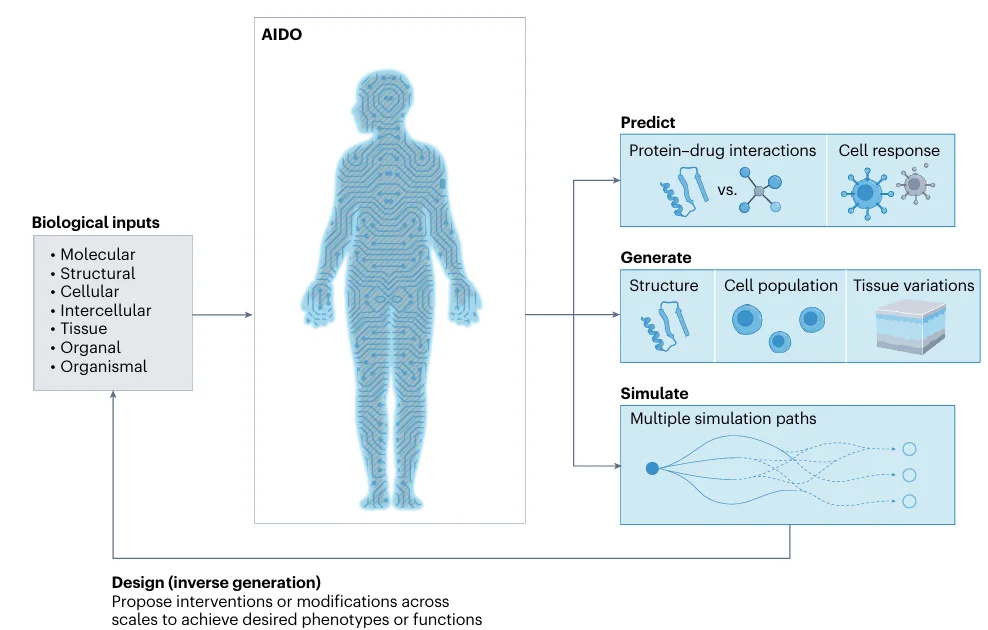 David Baker、宋乐等联手创办GenBio AI:  虚拟细胞只是开始，数字有机体才是终局
