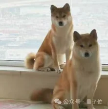 Anthropic曝光多Agent隐患!放一起乱成一锅粥了