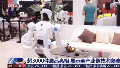 这届“WRC必看”:全栈AI、20+超难家务,8.99万带回家