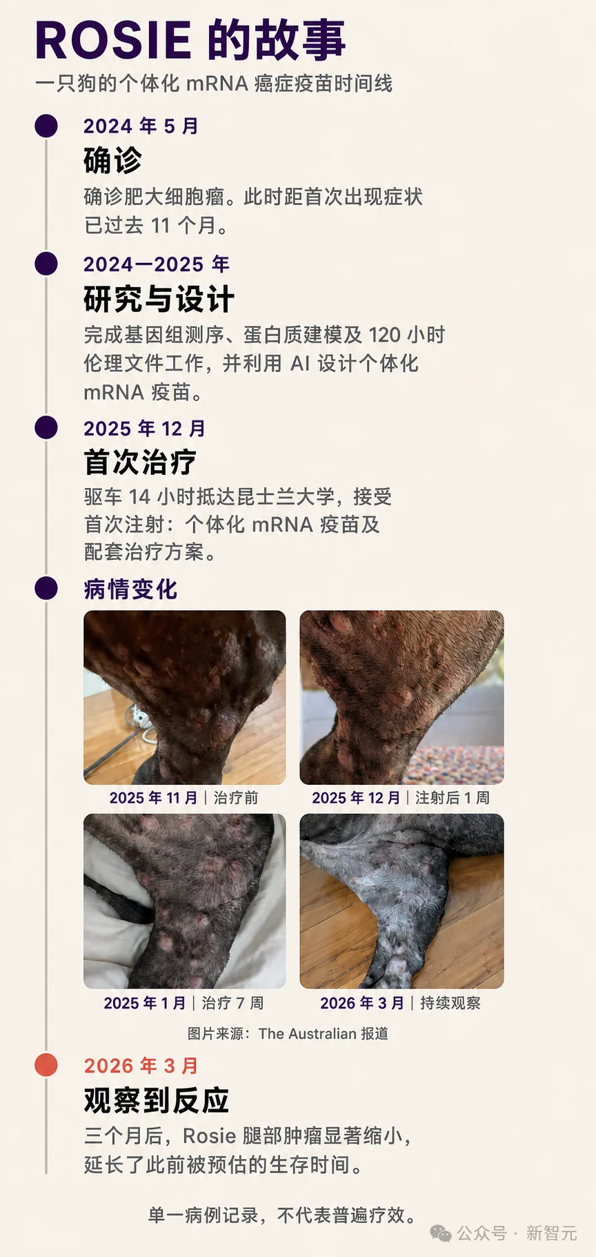 mRNA疫苗太慢,狗主人痛失爱犬!全球首个AI定制狗癌疫苗来了