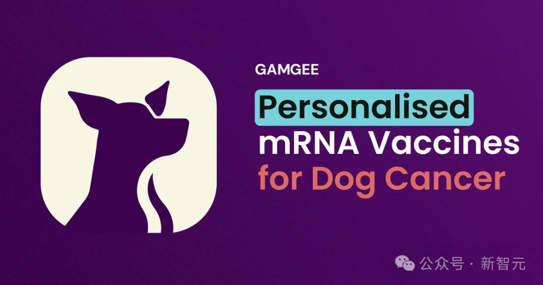 mRNA疫苗太慢,狗主人痛失爱犬!全球首个AI定制狗癌疫苗来了