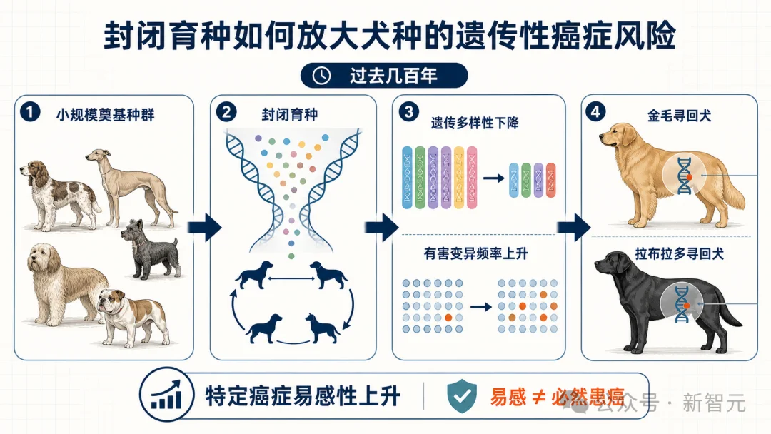 mRNA疫苗太慢,狗主人痛失爱犬!全球首个AI定制狗癌疫苗来了