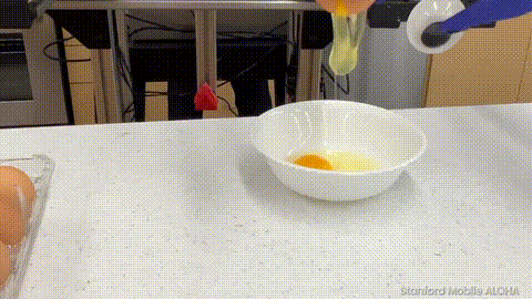 影视飓风Tim看呆！鸡排哥2小时做出八大菜系，AI首次长出「大厨大脑」