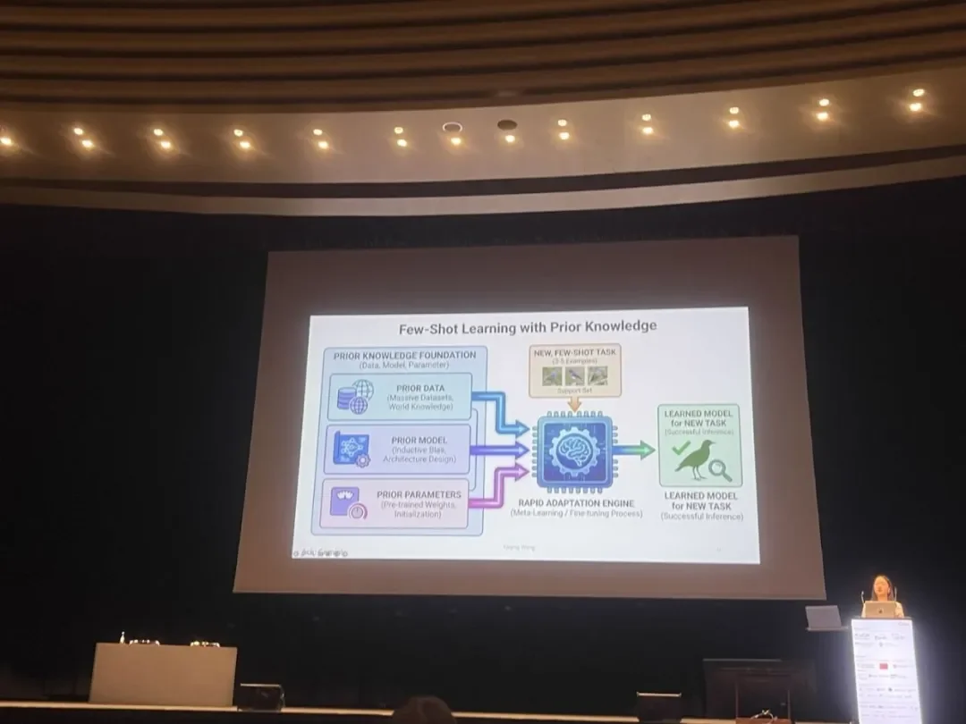 BIMSA 王雅晴:Scaling Law 触及天花板,「数据高效学习」指向 AI 的下一站|IJCAI 2026