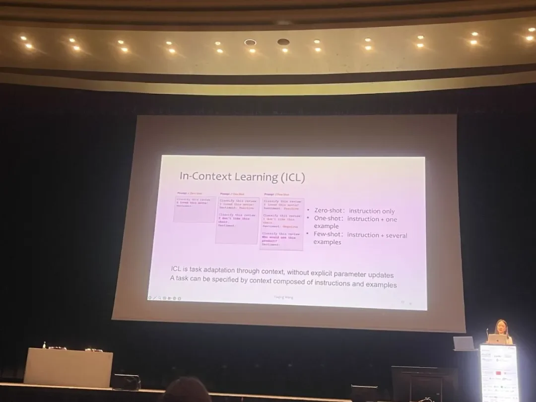 BIMSA 王雅晴:Scaling Law 触及天花板,「数据高效学习」指向 AI 的下一站|IJCAI 2026