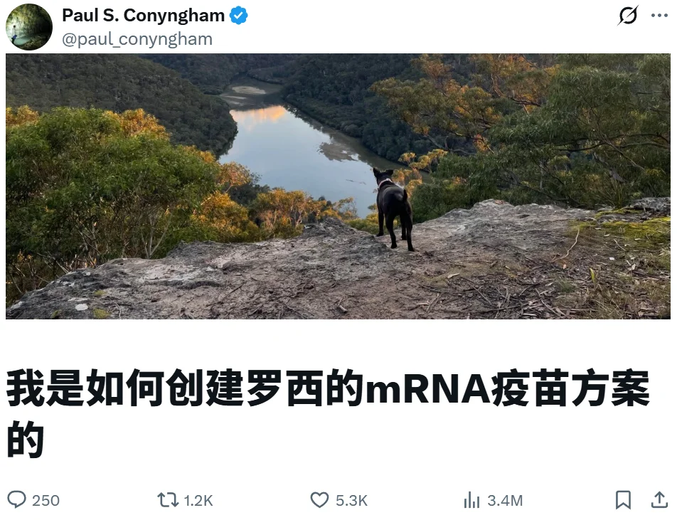 小狗Rosie走了三个月后，她的病历变成了一家AI医疗公司