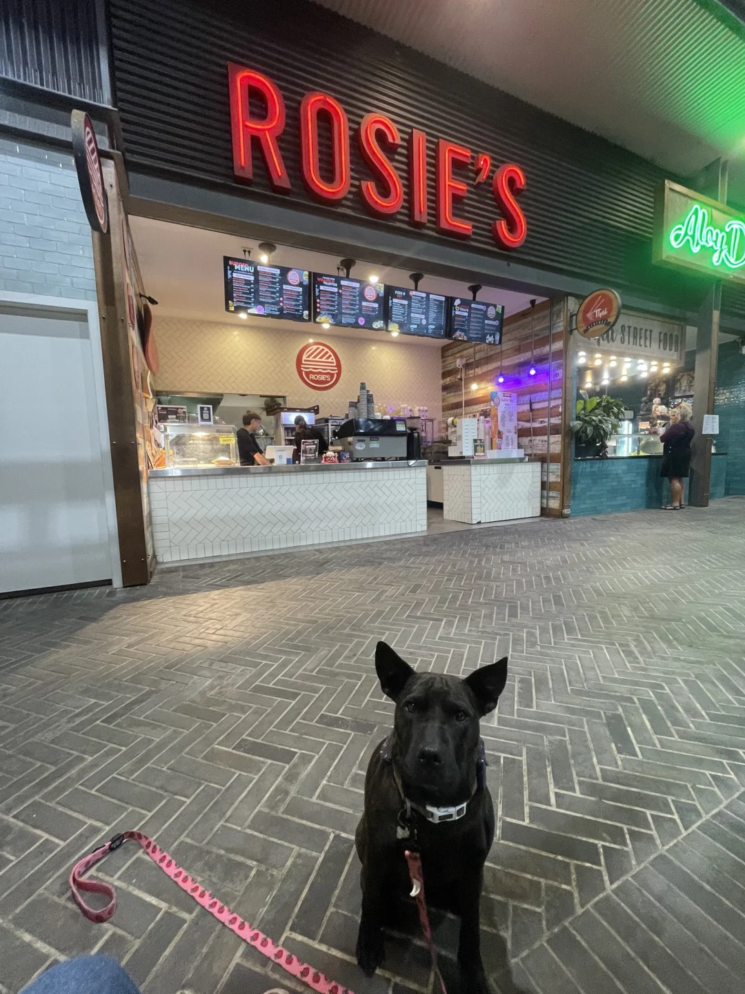 小狗Rosie走了三个月后，她的病历变成了一家AI医疗公司