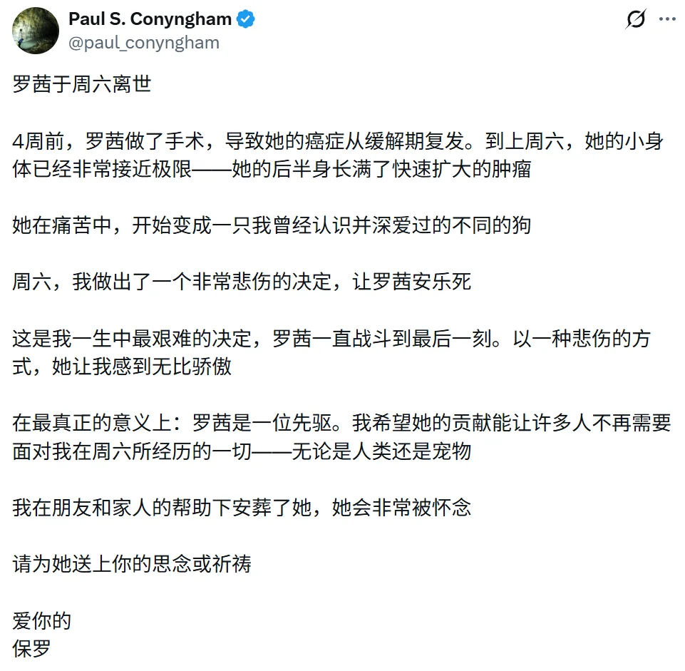 小狗Rosie走了三个月后，她的病历变成了一家AI医疗公司