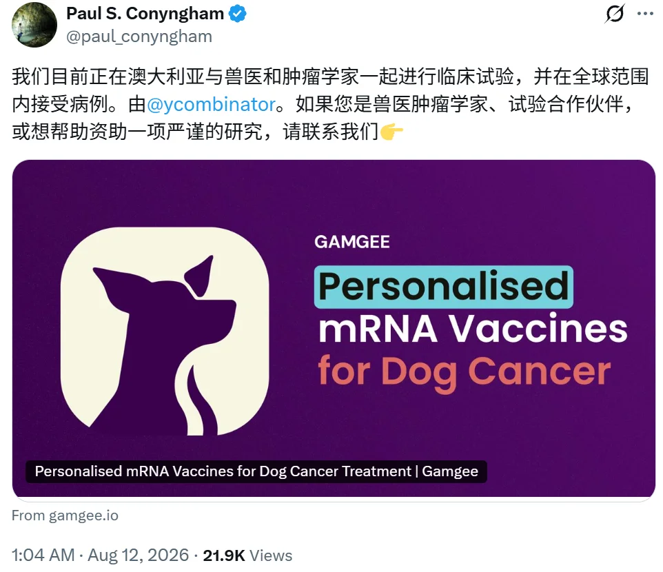 小狗Rosie走了三个月后，她的病历变成了一家AI医疗公司