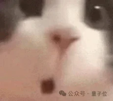 黄仁勋李飞飞林斌投了同一家机器人公司