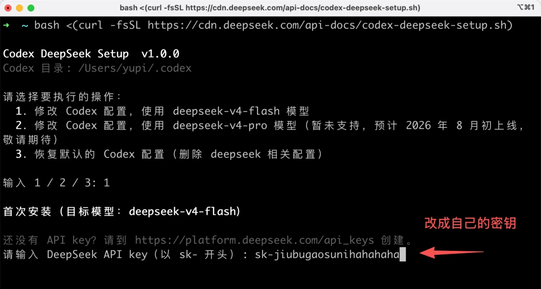 给 Codex 和 Claude Code 接入 DeepSeek-V4-Flash，夯爆了！