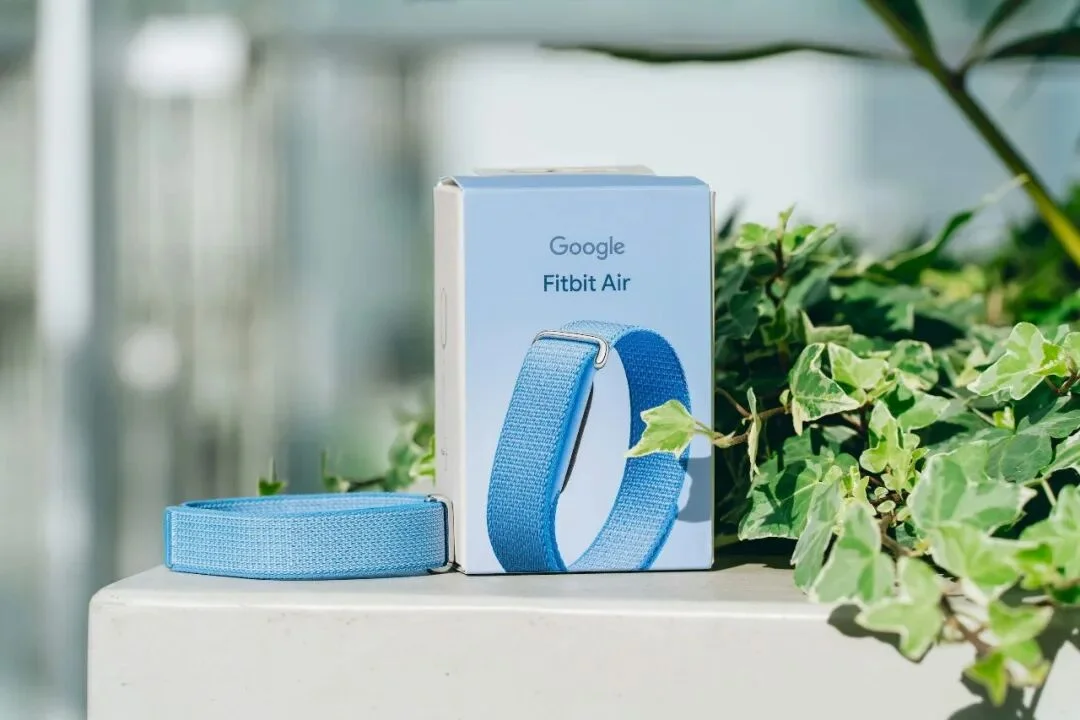Fitbit Air 手环深度体验：「无屏」只是手段，模型能力才是护城河