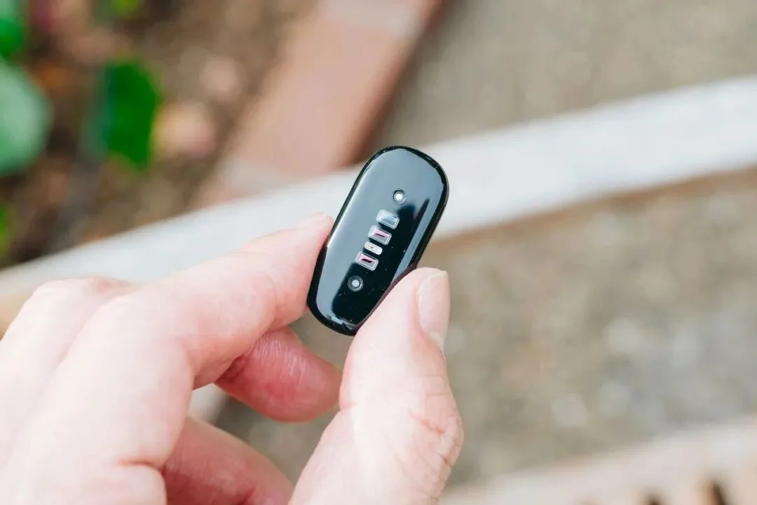 Fitbit Air 手环深度体验：「无屏」只是手段，模型能力才是护城河