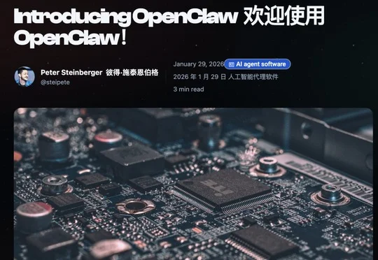 OpenClaw：红过，爱过，散了