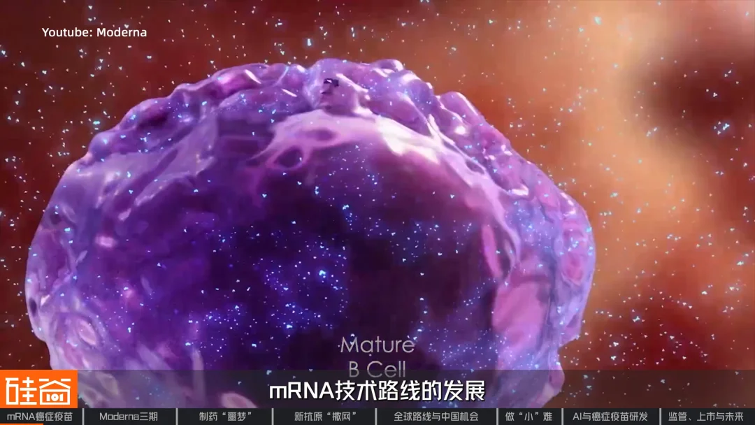mRNA的第二战场：拆解人类首个肿瘤疫苗三期突破｜对话艾博生物CEO英博
