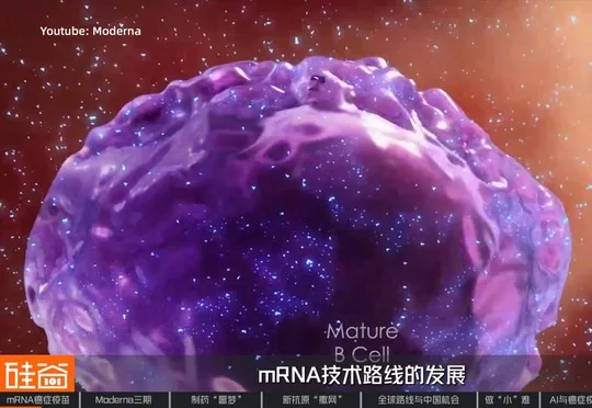 mRNA的第二战场：拆解人类首个肿瘤疫苗三期突破｜对话艾博生物CEO英博