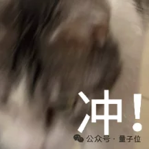 魔幻灵巧手：半年200亿热钱，3大路线，贵到几十万一只