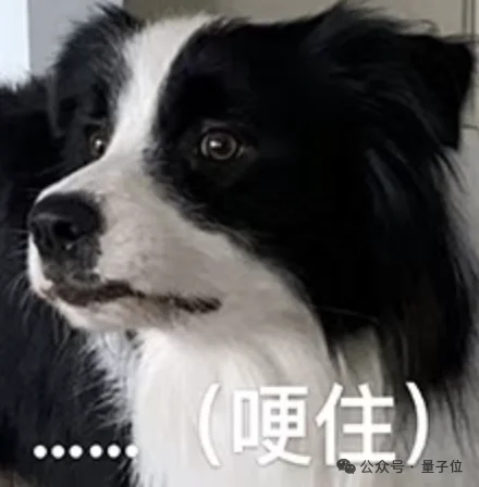 魔幻灵巧手：半年200亿热钱，3大路线，贵到几十万一只