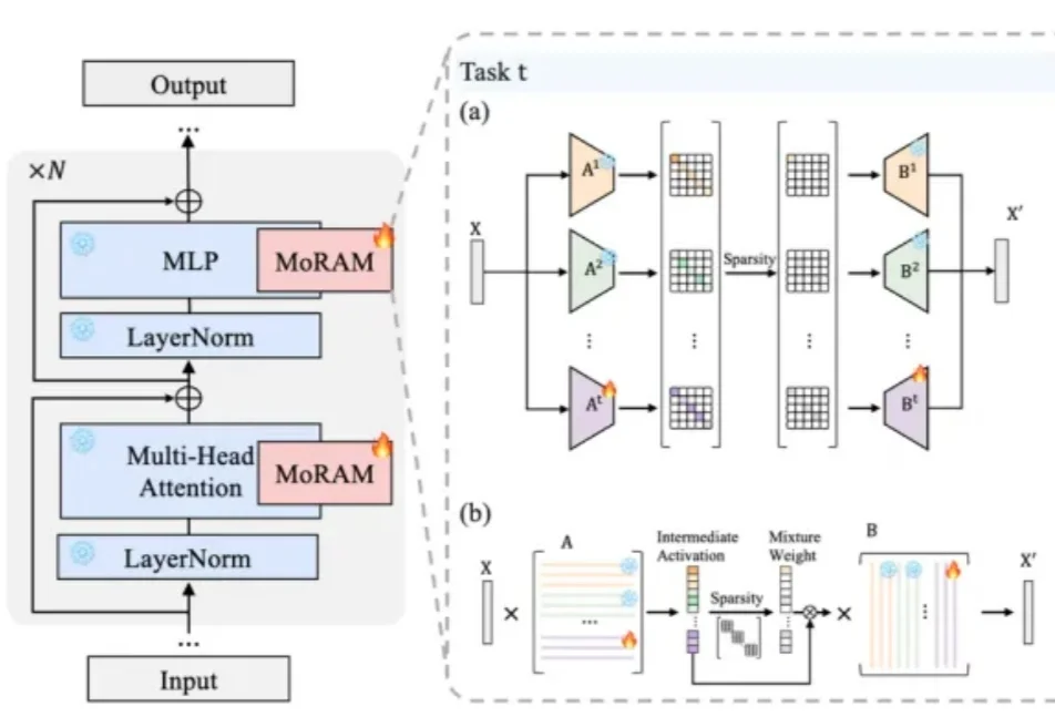 大模型灾难性遗忘新解法：秩1联想记忆实现无损持续学习 | ICML'26