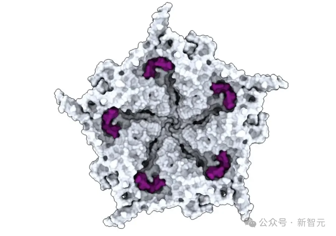 AI造出新病毒了!Science论文实锤,无限自我复制